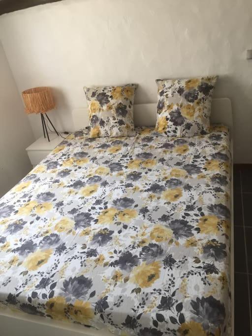 Logement Insolite Au Coeur D'Une Ecurie Arles Exterior photo