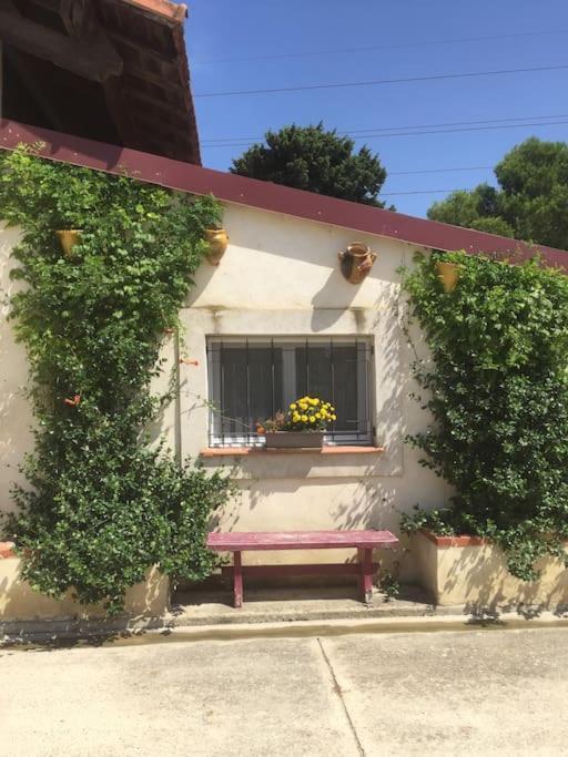 Logement Insolite Au Coeur D'Une Ecurie Arles Exterior photo